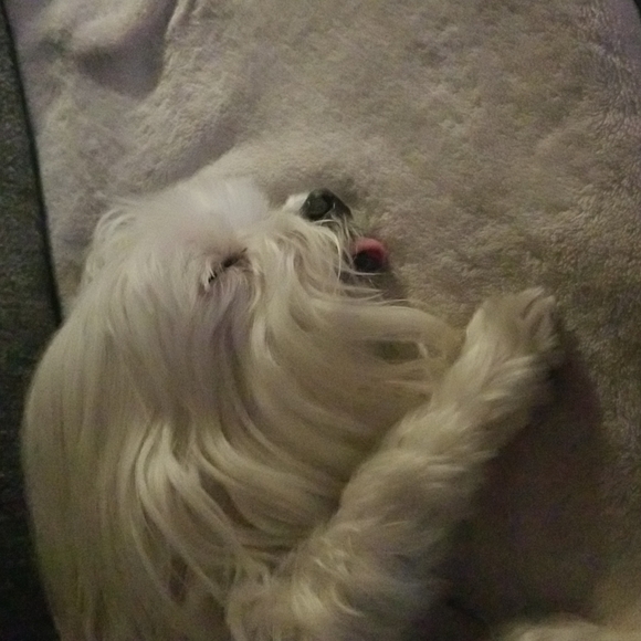 OUR  BABY - Picture 2 of 2